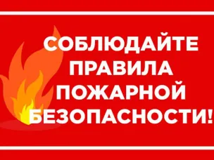 Информация детском травматизме на пожарах  за 2 месяца 2025 г. 